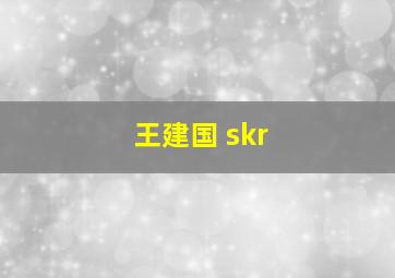 王建国 skr